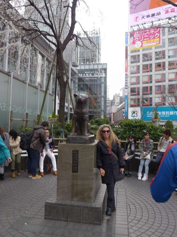 Tokyo Private Tour - The most famous Japanese statue around the world, i.e. the Hachi