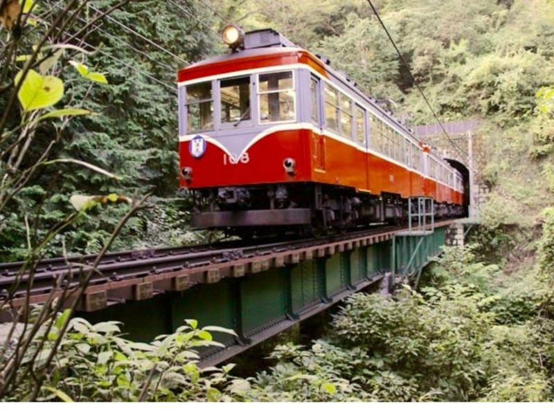 Hakone Private Tour - Mountain train