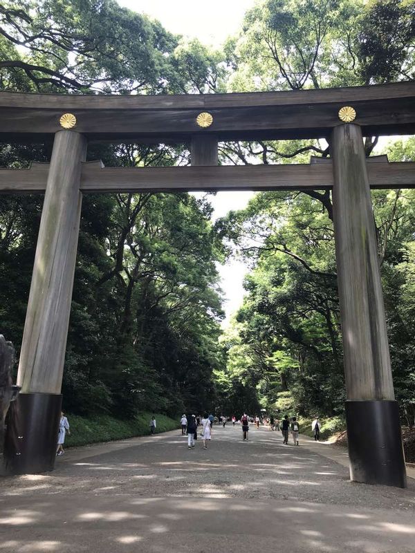 Tokyo Private Tour - Meiji Shrine. One of the greatest shrines in Japan. 