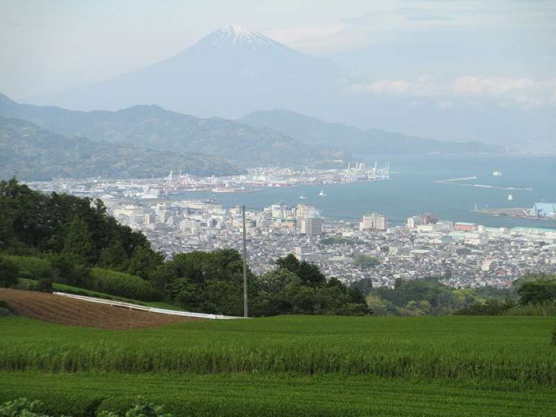 Shimizu Private Tour - Mt.Fuji from Nihondaira hilltop