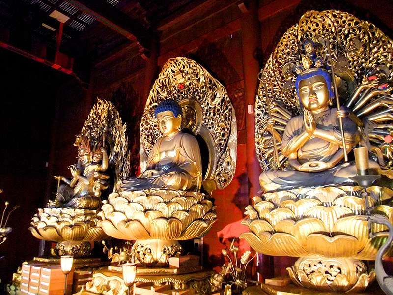 Tokyo Private Tour - Three Golden Buddha in Rinnoji Temple