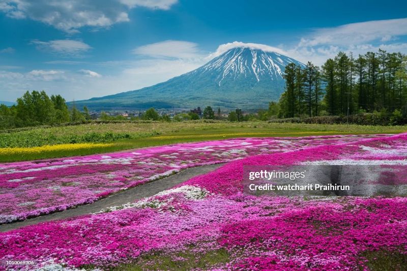 Sapporo Private Tour - 