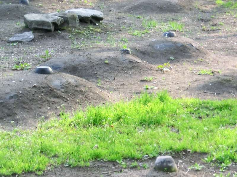 Shiretoko / Abashiri Private Tour - nuique burial site