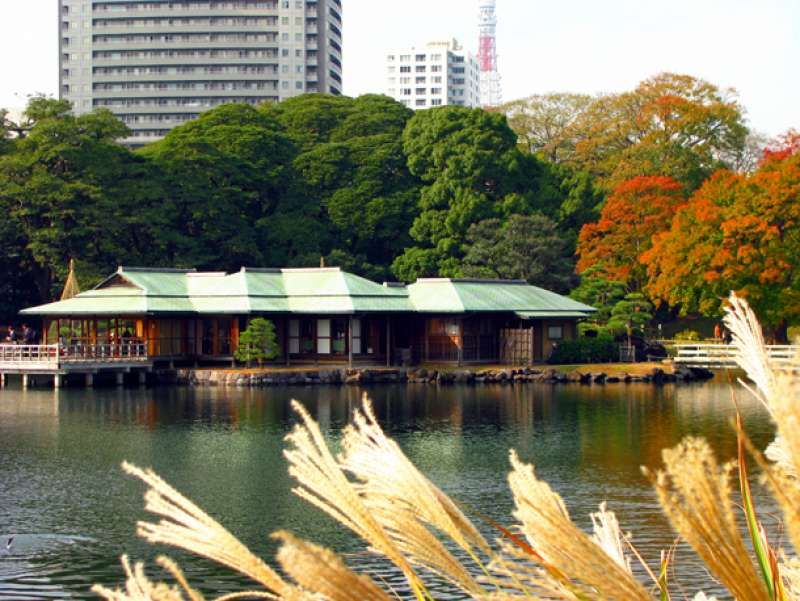Tokyo Private Tour - The tea house where the shogun and Imerial nobles enjoyed the view.