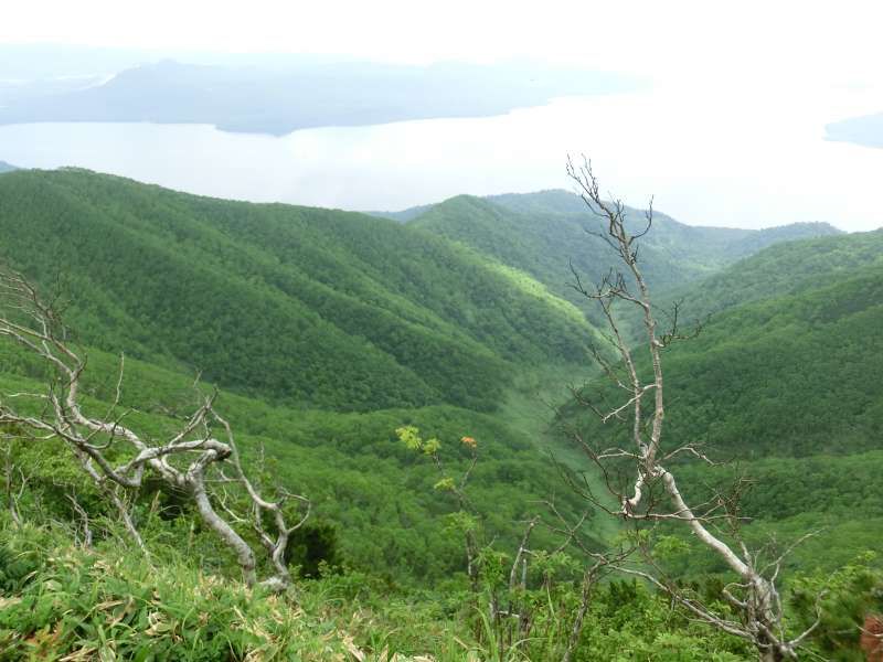 Shiretoko / Abashiri Private Tour - The view from the top in summer. You can see the Lake Kussharo, which is the largest crater lake in Japan.