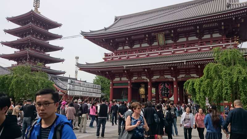 Tokyo Private Tour - null