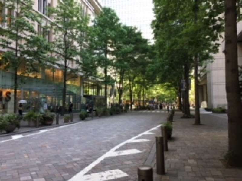 Tokyo Private Tour - You can enjoy a sense of liberation by exploring spacious Marunouchi Nakadori lined with stylish shops.