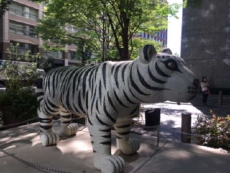 Tokyo Private Tour - Let's enjoy Marunouchi Street Galary !