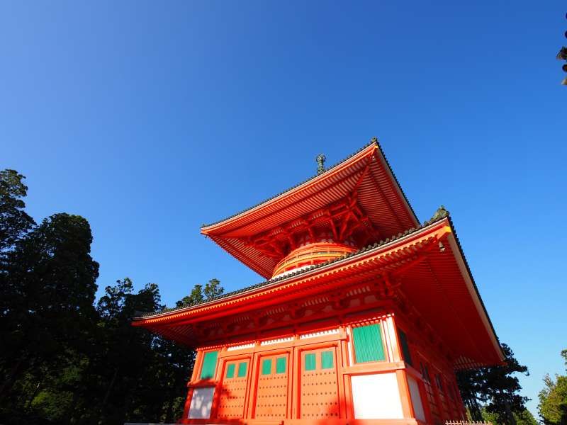 Mount Koya Private Tour - null