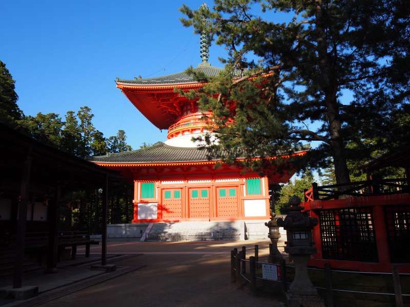 Mount Koya Private Tour - null