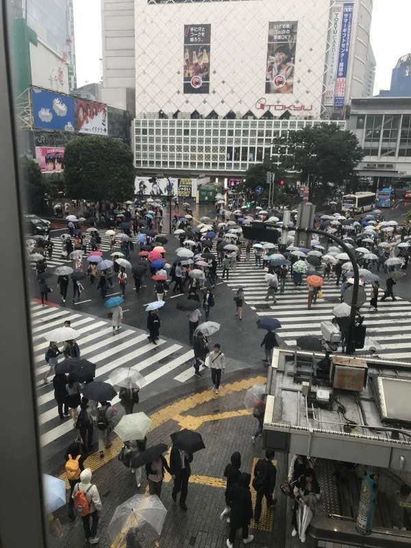 Tokyo Private Tour - Shibuya, scrambled intersections 