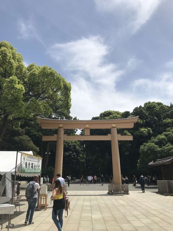 Tokyo Private Tour - Meiji Shrine. The second Trii gate. 