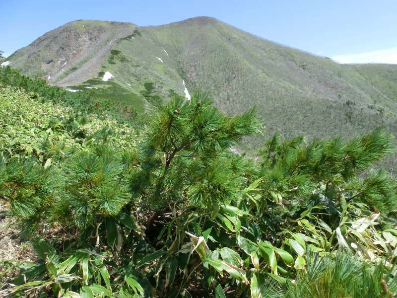 Shiretoko / Abashiri Private Tour - The mountain top from the 8th station. Very steep slopes are waiting for us.