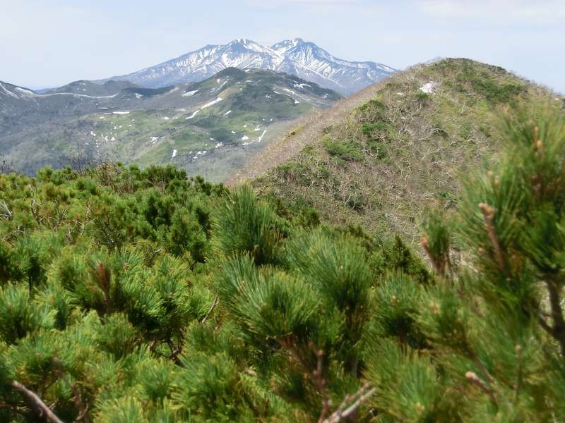 Shiretoko / Abashiri Private Tour - The view of Mt. Shari from the peak. Its blue and white color in June is so beautiful.