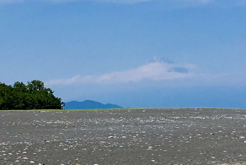 Shimizu Private Tour - Optional: view of Mt. Fuji at Miho pine grove