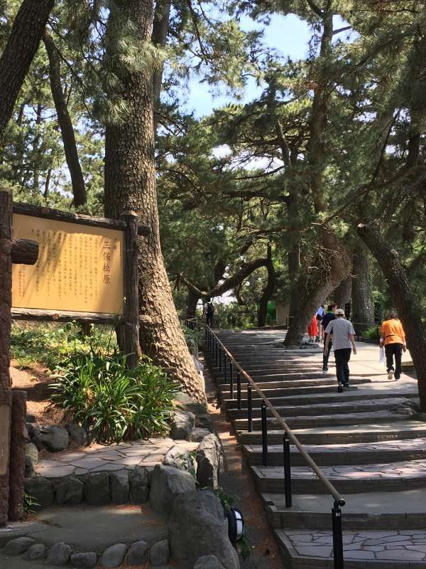 Shimizu Private Tour - Kamino-michi gate to Miho pine grove