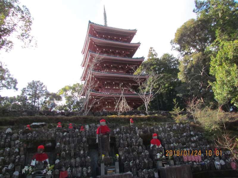 Kochi Private Tour - ive-story pagoda in Chikurinji