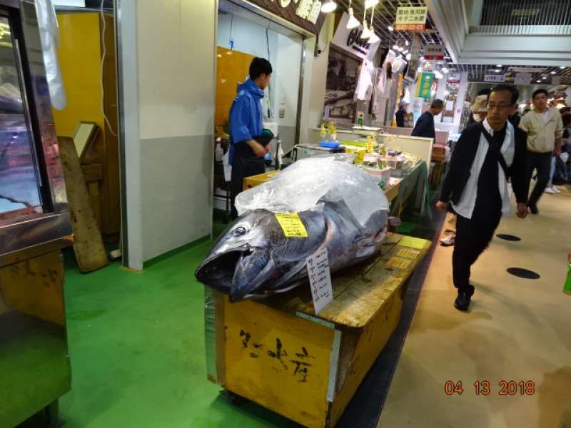 Tokyo Private Tour - Tsukiji Fish Market