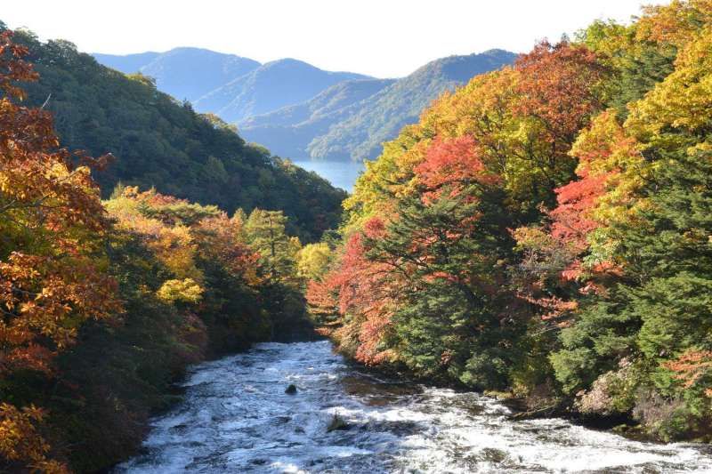 Nikko Private Tour - Daiya river