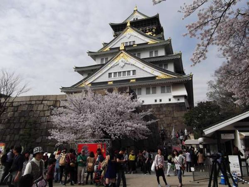 Osaka Private Tour - Whole view of the castle main building.