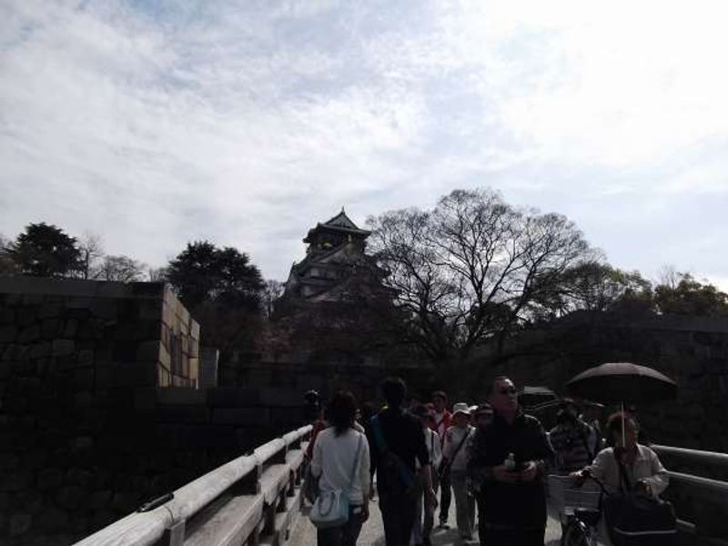 Osaka Private Tour - Distant view of the castle.