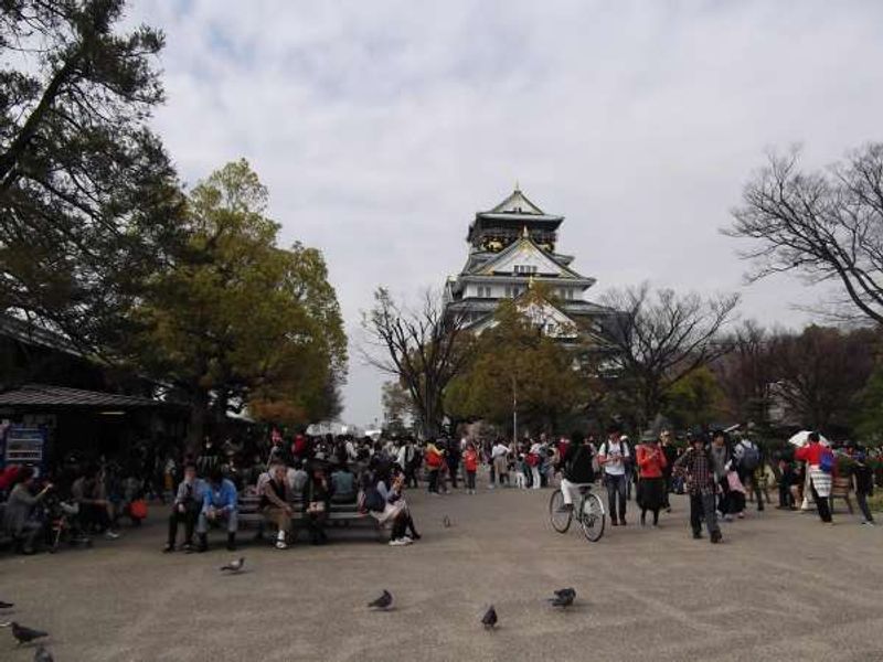 Osaka Private Tour - Distant view of the castle.