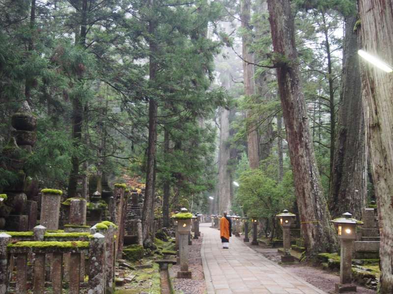 Mount Koya Private Tour - null