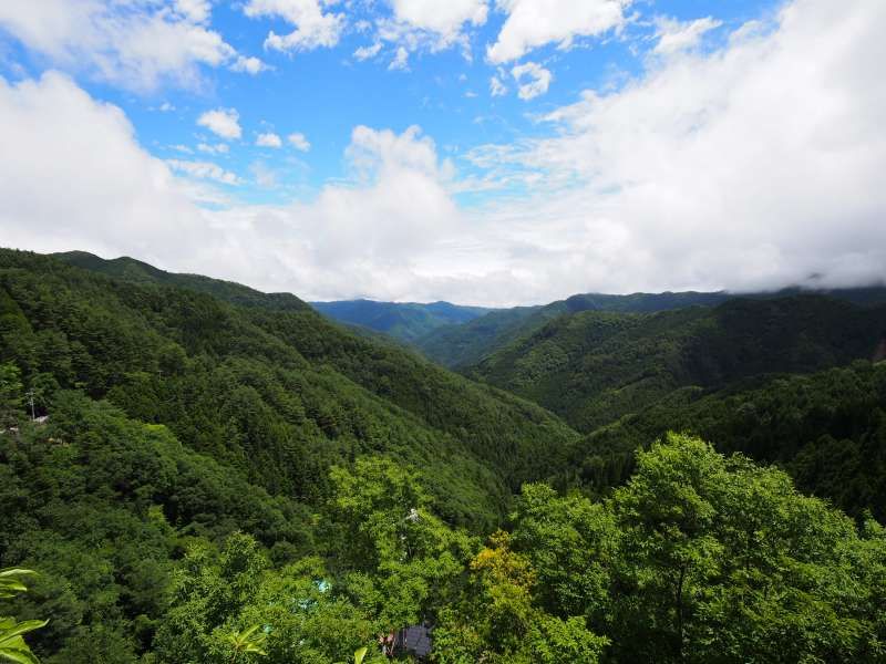 Mount Koya Private Tour - null