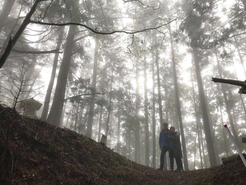 Mount Koya Private Tour - null