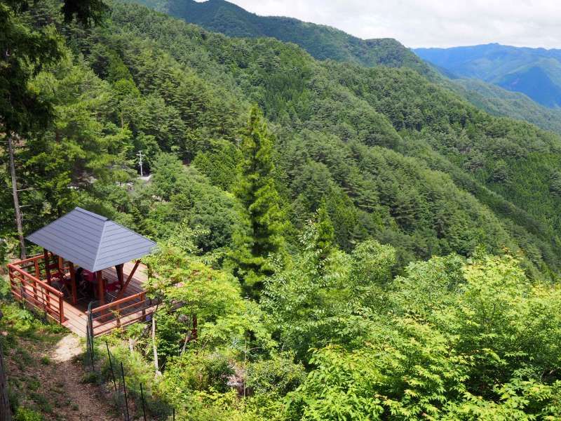 Mount Koya Private Tour - null