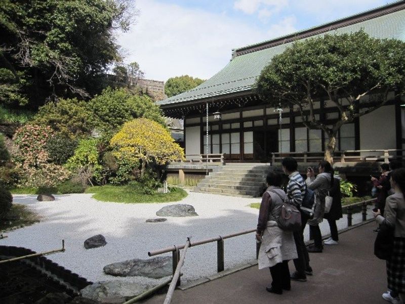 Kamakura Private Tour - Hokokuji temple
Serene and beautiful temple.