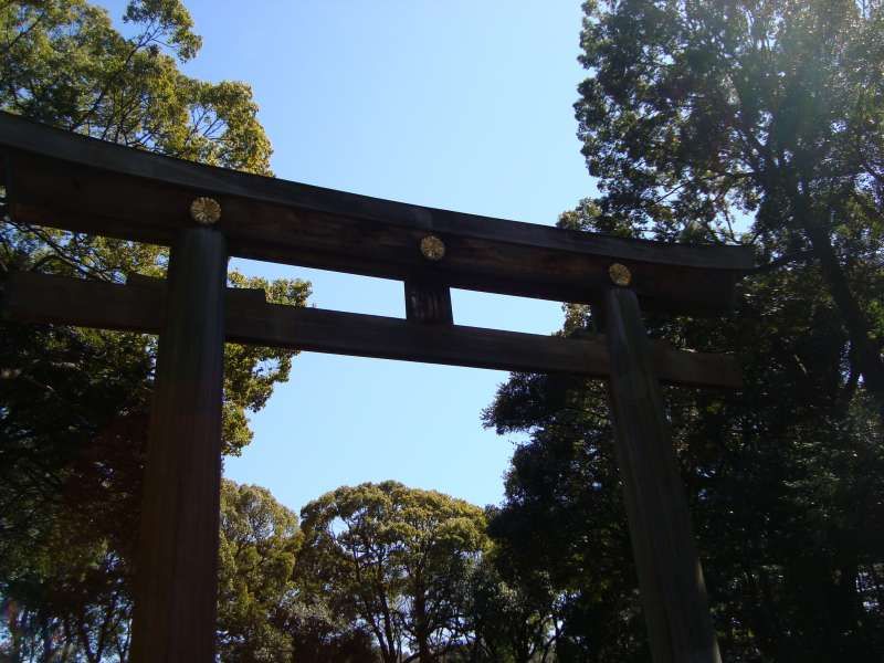 Tokyo Private Tour - Meiji Shrine, Torii gate