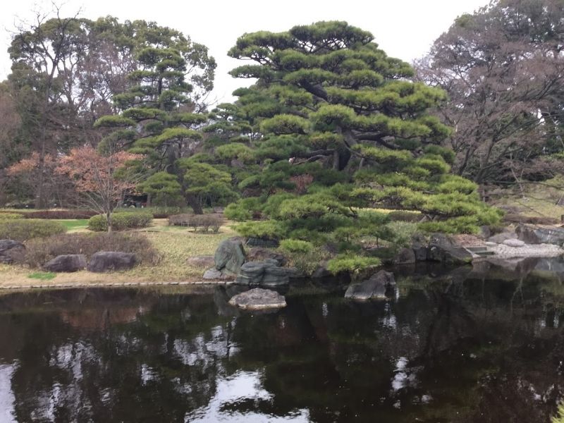 Tokyo Private Tour - Ninomaru Garden (This garden was designed for the shogun. You can enjoy seasonal beauty)