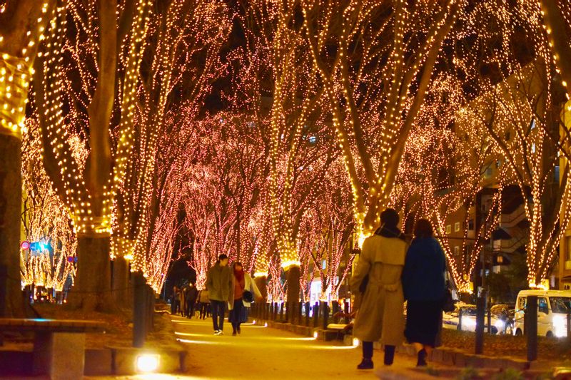 Miyagi Private Tour - Jozenji-dori "Zelkova trees