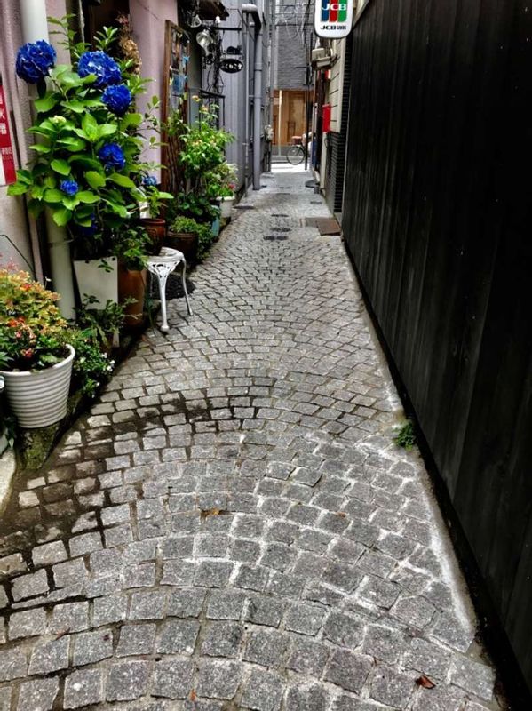 Tokyo Private Tour - stone-paved alley