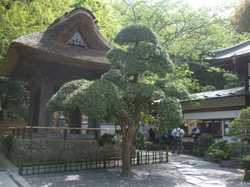 Kamakura Private Tour - 