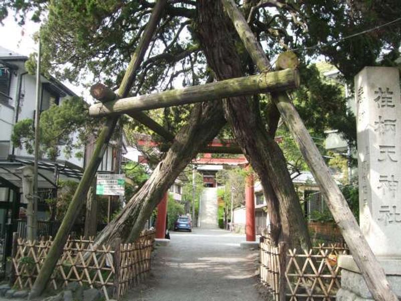 Kamakura Private Tour - 