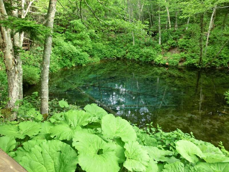 Shiretoko / Abashiri Private Tour - Kaminoko Ike or God's Child Pond, which is the underground water from the Lake Mashu. Visitors would be amazed to see its beautiful color.