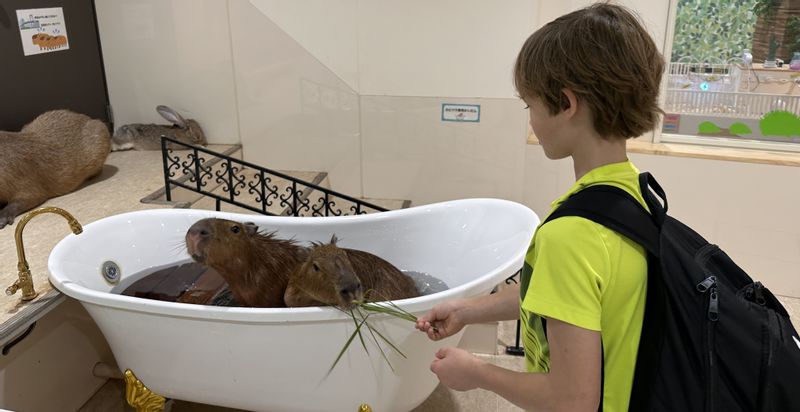 Tokyo Private Tour - Indoor zoo (#I) 