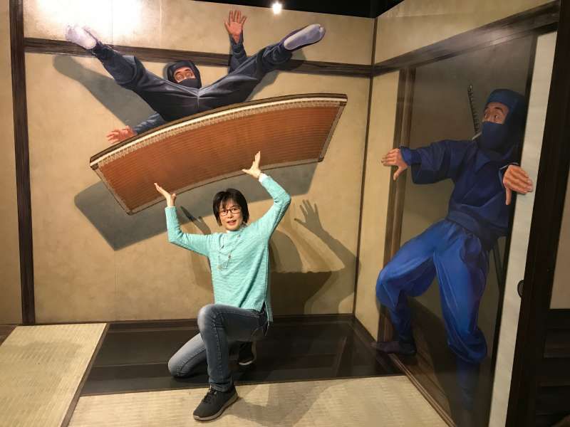 Tokyo Private Tour - The Trick Art Museum is a selfie paradise! (#B) 