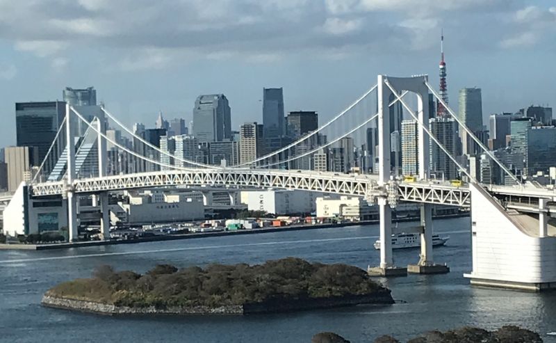 Tokyo Private Tour - Tokyo Bay view from Odaiba (#2)