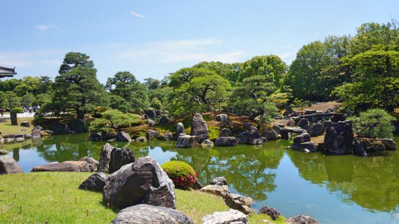 Kyoto Private Tour - Beautiful Japanese garden in Nijo castle