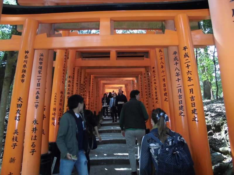 Kyoto Private Tour - Fushimi Inari Grand Shrine, Torii gates