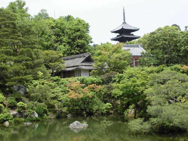 Kyoto Private Tour - Ninnaji temple, Garden