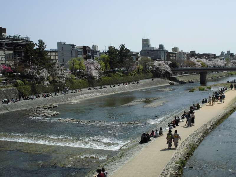 Kyoto Private Tour - Kamo River,Shijo Bridge area