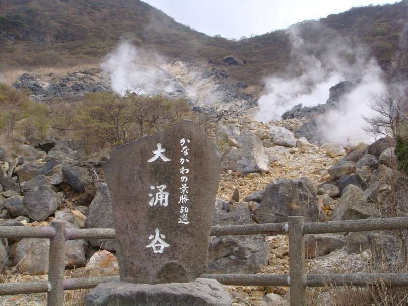 Tokyo Private Tour - Owakudani Valley