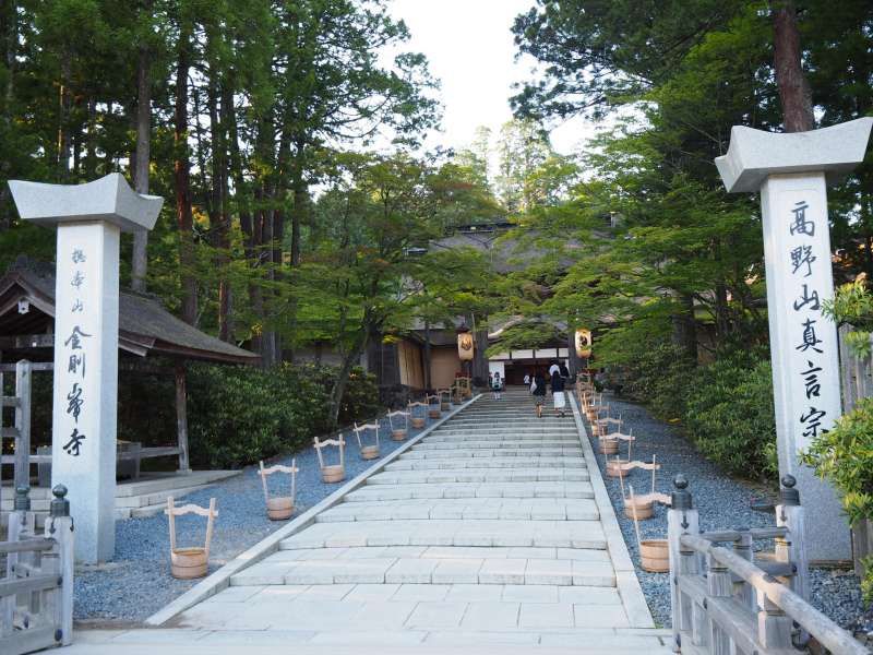 Mount Koya Private Tour - null