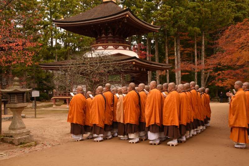 Mount Koya Private Tour - null