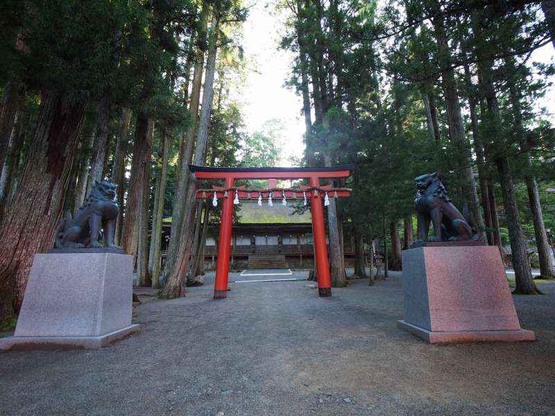 Mount Koya Private Tour - null