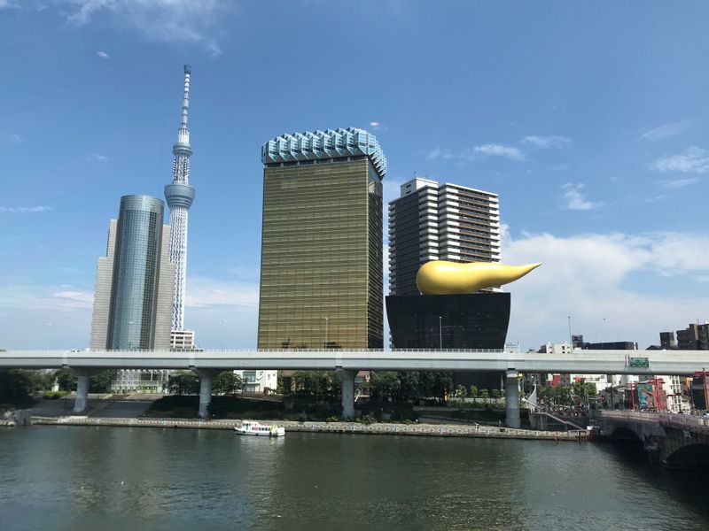 Tokyo Private Tour - Tokyo Skytree from Asakusa